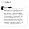 Zerwanie na Facebook 