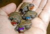 Ninja turtles