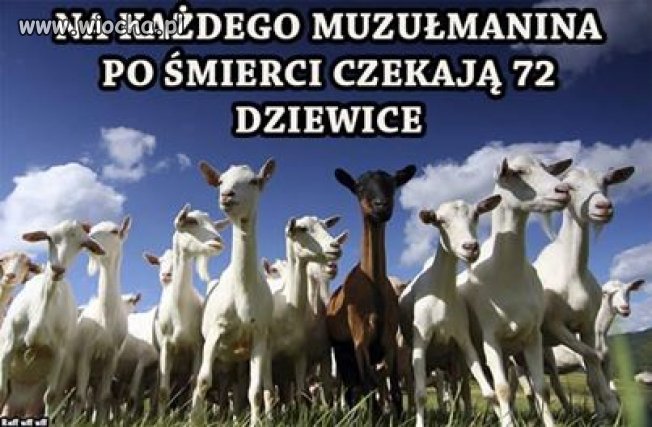 Wszystkich ekstermistów po śmierci