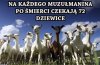 Wszystkich ekstermistów po śmierci