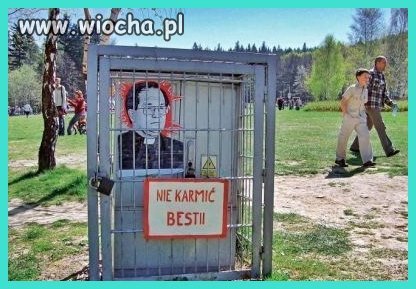 Nie karmić bestii 