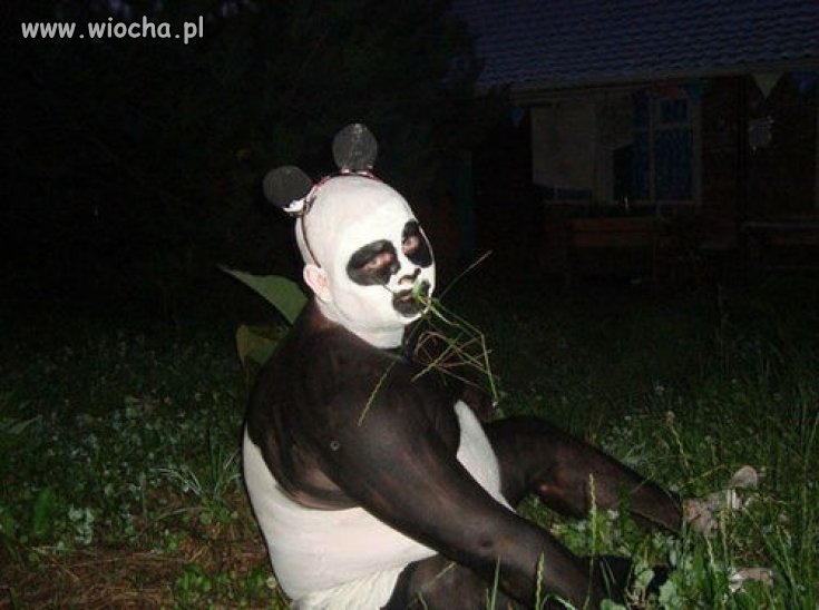 Panda