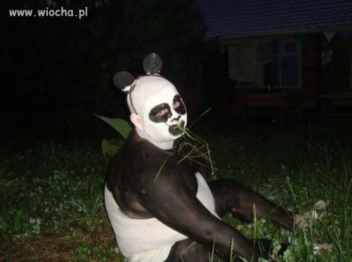Panda