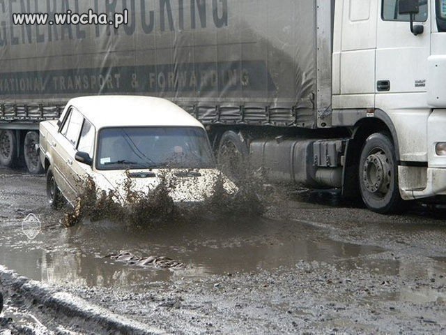 Niespodzianka na drodze