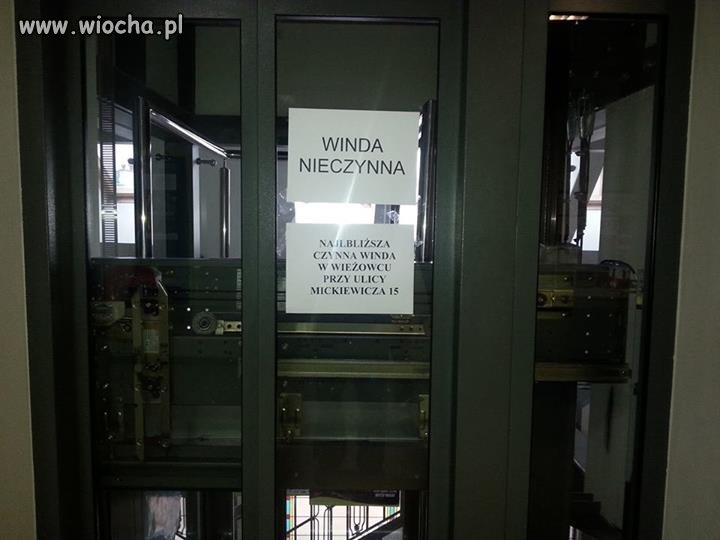 Wiocha w Urzędzie Miasta Ełku