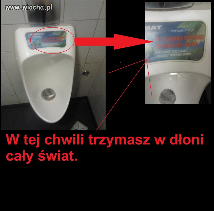Cały świat