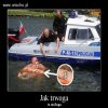 Jak trwoga to do Boga