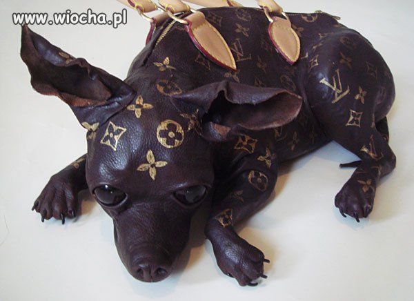 Dobra, może nie znam się na modzie ale...