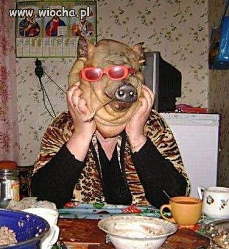 W świńskim ryju