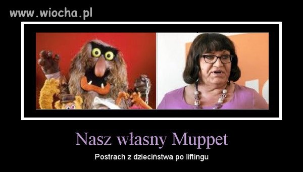 Muppet Nasz Polityczny 