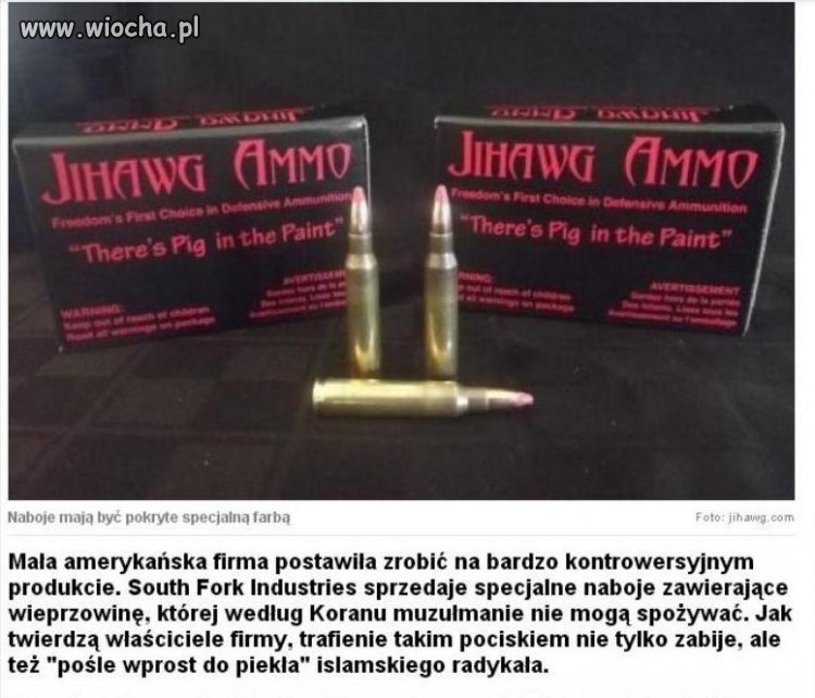 Naboje z wieprzowiną 