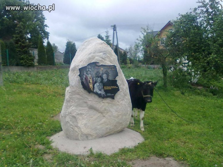 Nie mogłam się powstrzymać