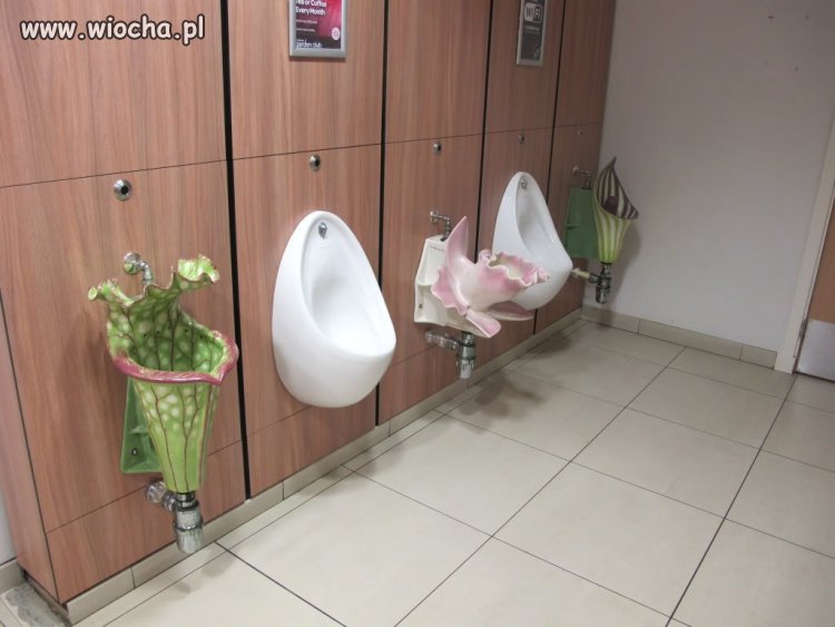 Żeby życie miało smaczek