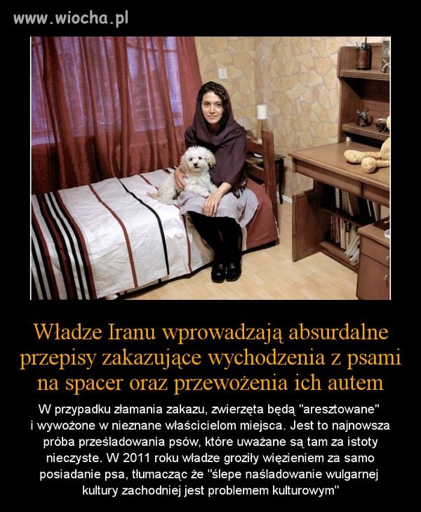 Absurdalne przepisy