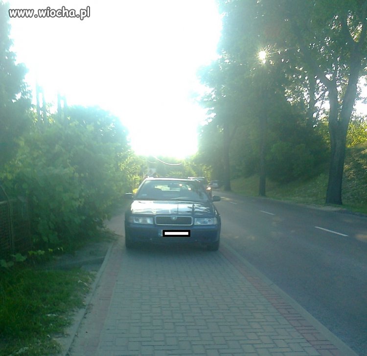 Mistrz Parkowania.