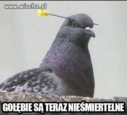 Nieśmiertelny
