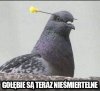 Nieśmiertelny