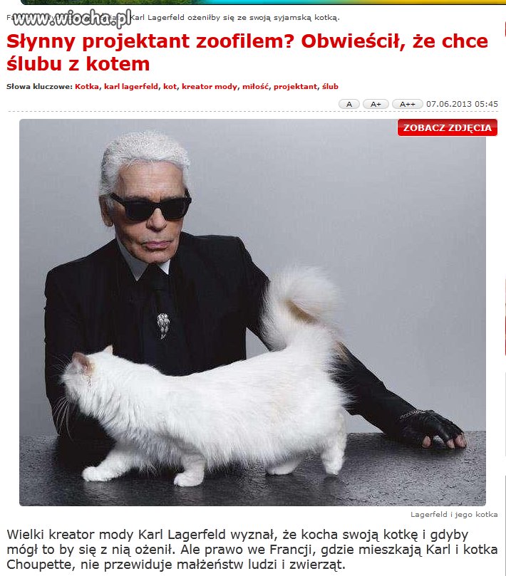 Obwieścił, że chce ślubu z kotem