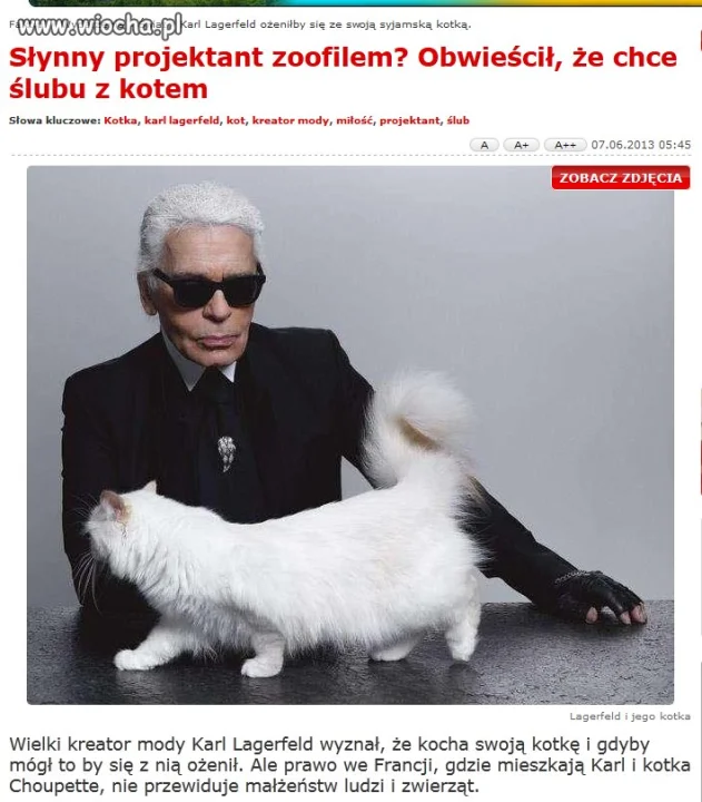 Obwieścił, że chce ślubu z kotem