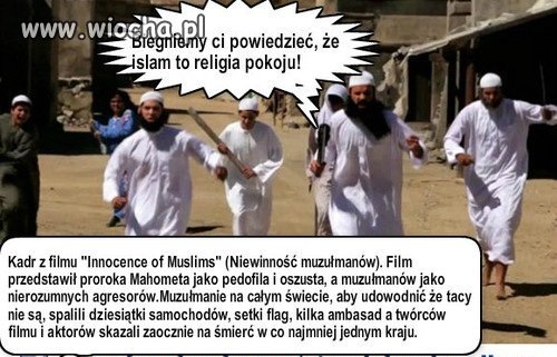 Niewinność muzułmanów...