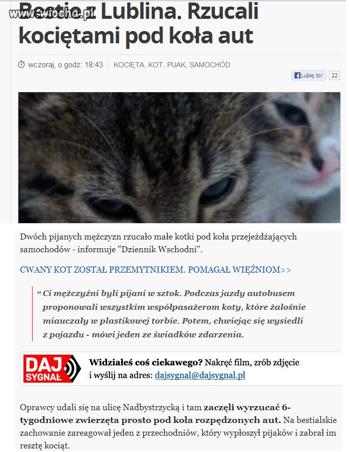 Rzucali żywe kocięta pod rozpędzone auta...