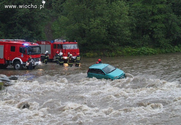 Zakład, że pokonam rzekę w bród!