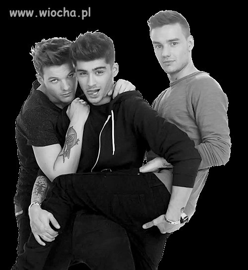ONE (GAY)RECTION