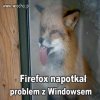 Firefox 