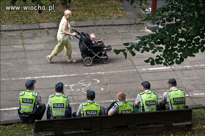 Na spacerze z psami