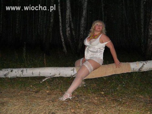 Takie tam w lesie...