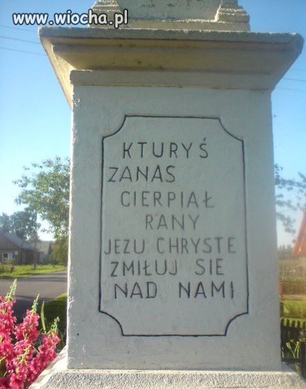 Kturyś zanas