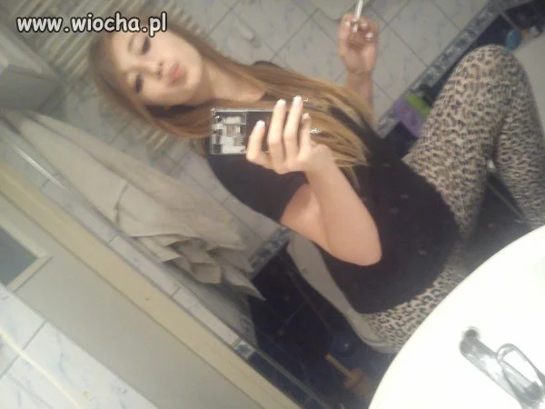 MRR KOCICA 