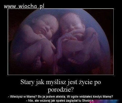 Wymiana poglądów