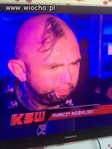 Końska grzywa w KSW.