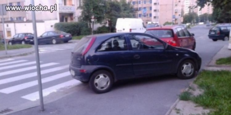 Mistrz parkowania
