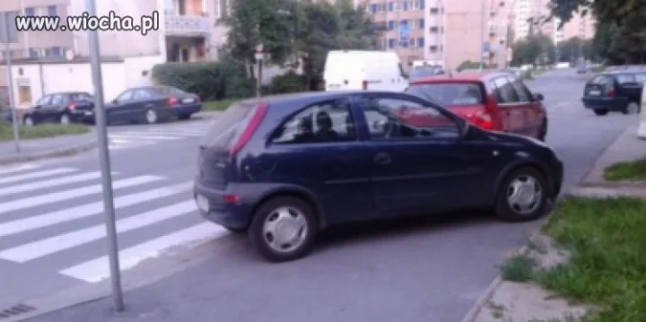 Mistrz parkowania