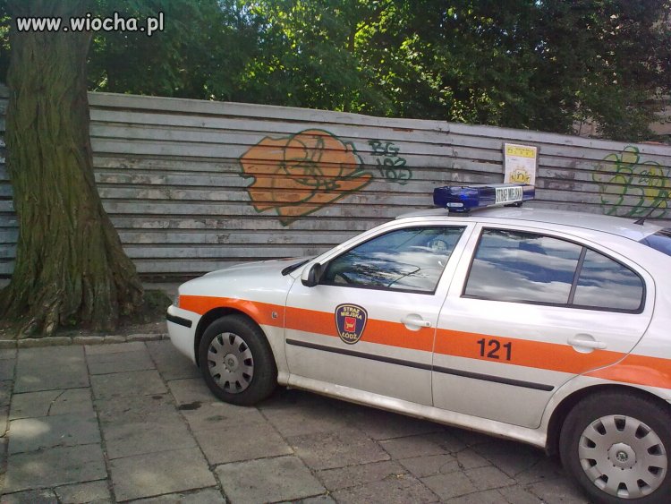 Dzielni strażnicy!!!