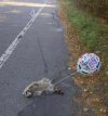 "mam nadzieję, że szybko wyzdrowiejesz"
