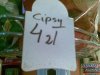 Ciekawe jaki mają smak i... Zapach (?)