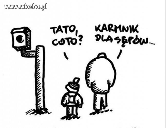 Karmnik dla sępów