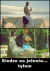 Swój swojego ...