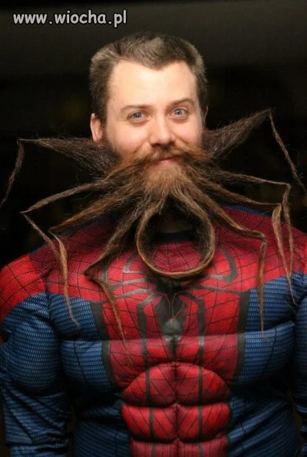 Happy Spider-beard