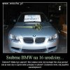 Rozpieszczone dzieci przez bogatych rodziców