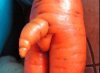 Bio marchewka 
