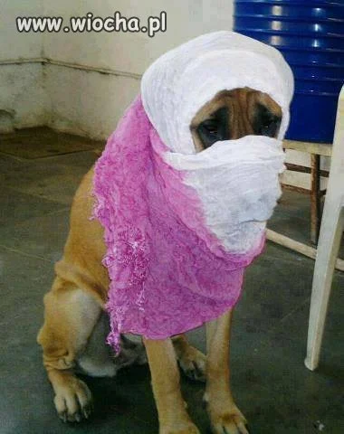 Islamizacji ciąg dalszy
