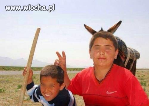 I kto tu jest osłem!