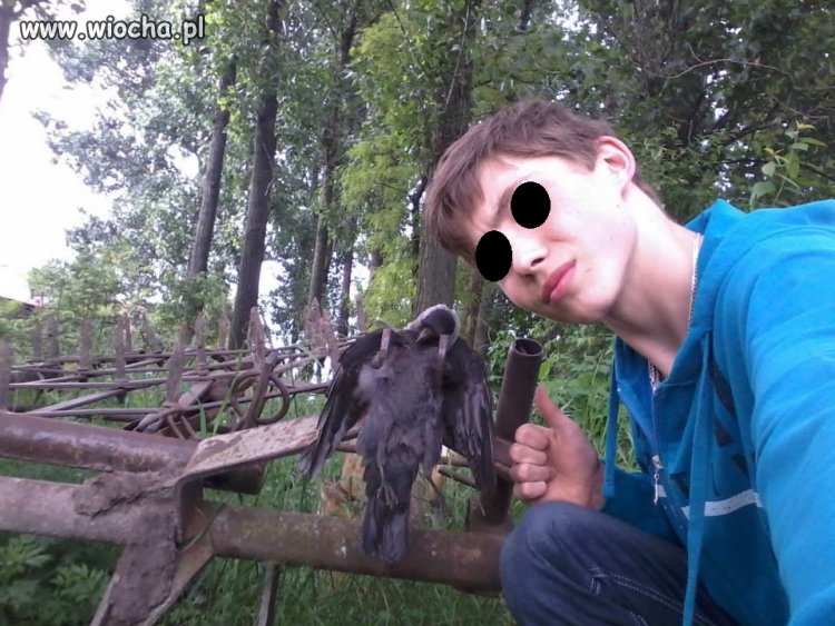 Killer