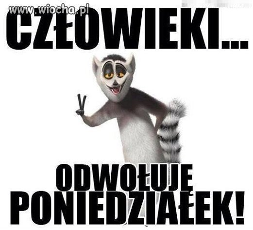 Za to kocham 
