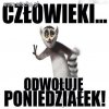 Za to kocham 