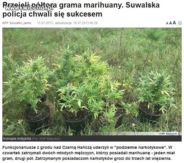Takie sukcesy ma tylko Polska policja